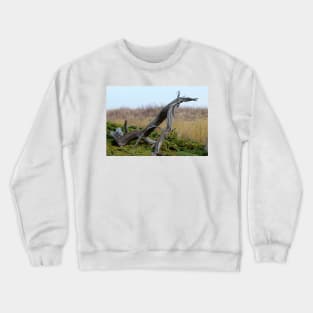 Coastal Driftwood Crewneck Sweatshirt